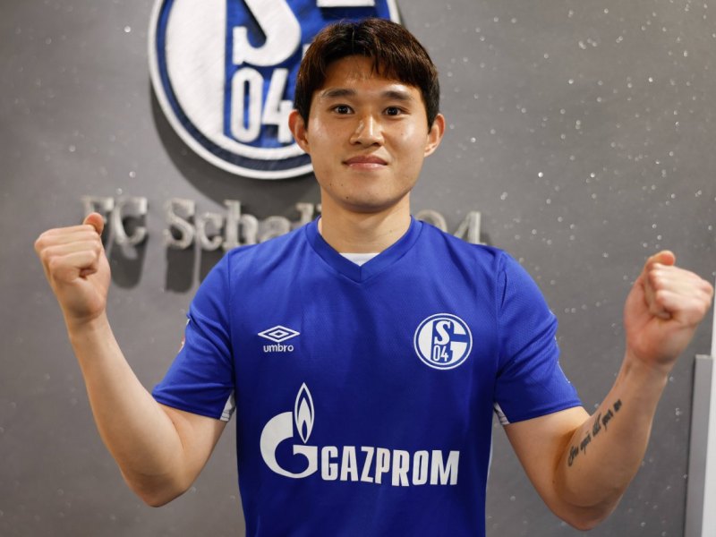 schalke-lee