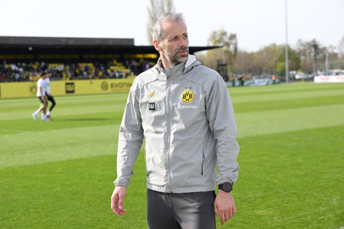 Borussia Dortmund Rose