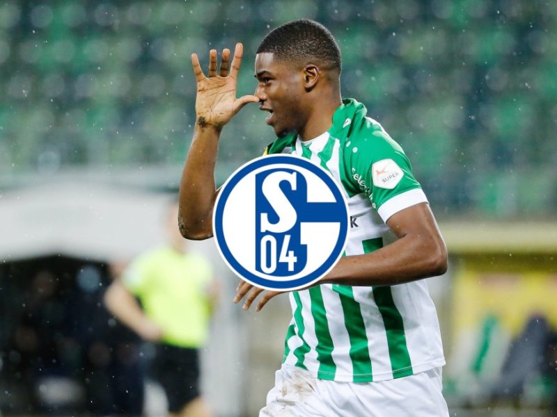 FC Schalke 04 Duah.jpg