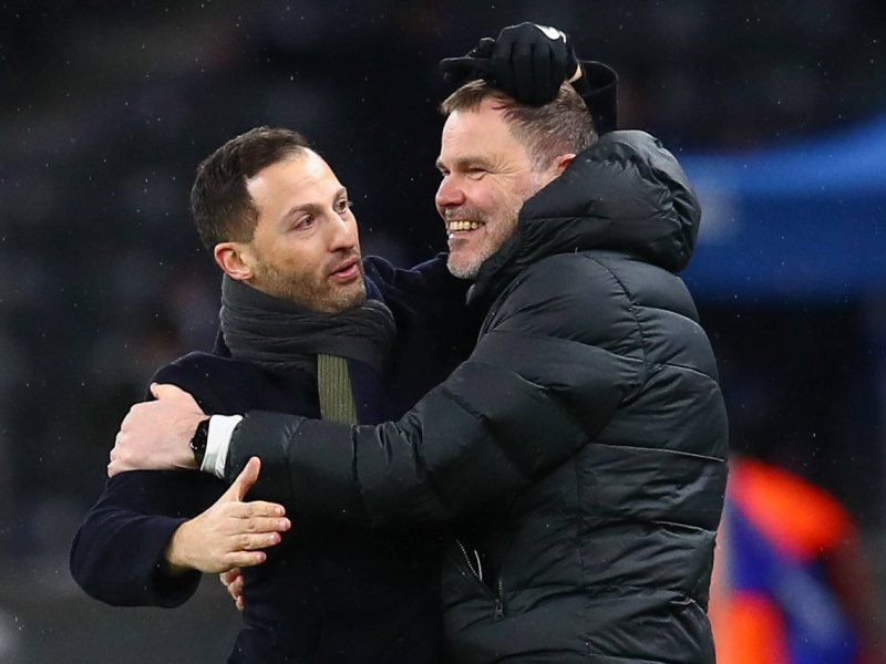 FC Schalke 04 Tedesco