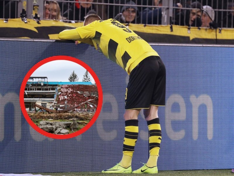 bvb 2.jpg