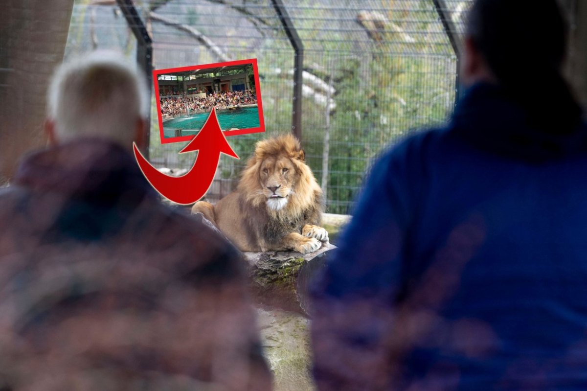 1duisburg-zoo-delfinarium