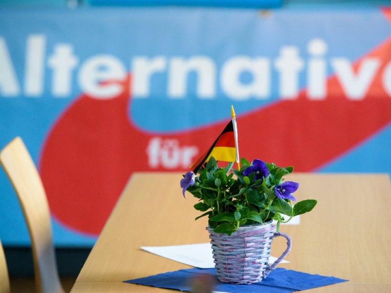 AfD.jpg