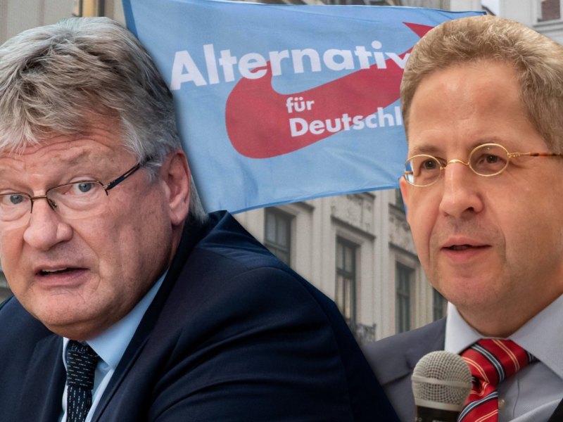AfD Meuthen