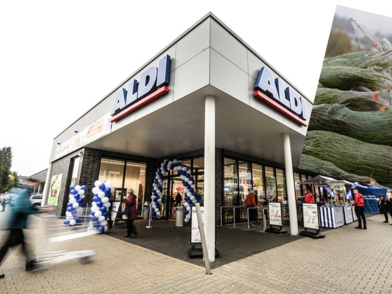 Aldi nord Weihnachtsbäume.jpg