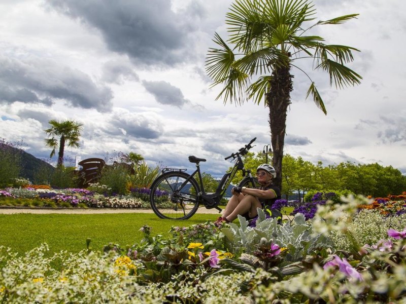 Am Wörthersee kann man unter Palmen Rast machen. Foto: Anita Arneitz/dpa