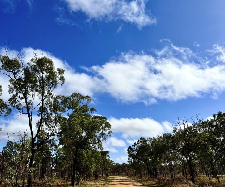 Auf dem Weg zum Undara-Volcanic-Nationalpark wird die Landschaft karger.