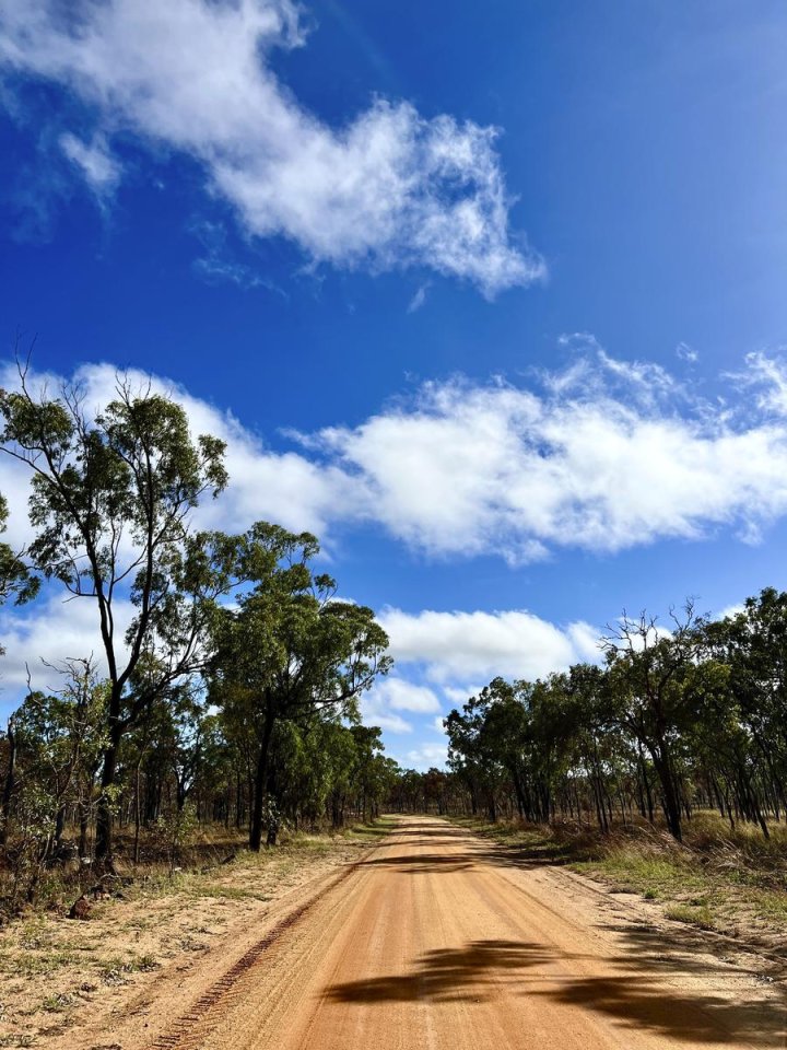 Auf dem Weg zum Undara-Volcanic-Nationalpark wird die Landschaft karger.