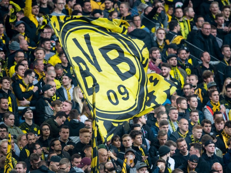 BVB Fans