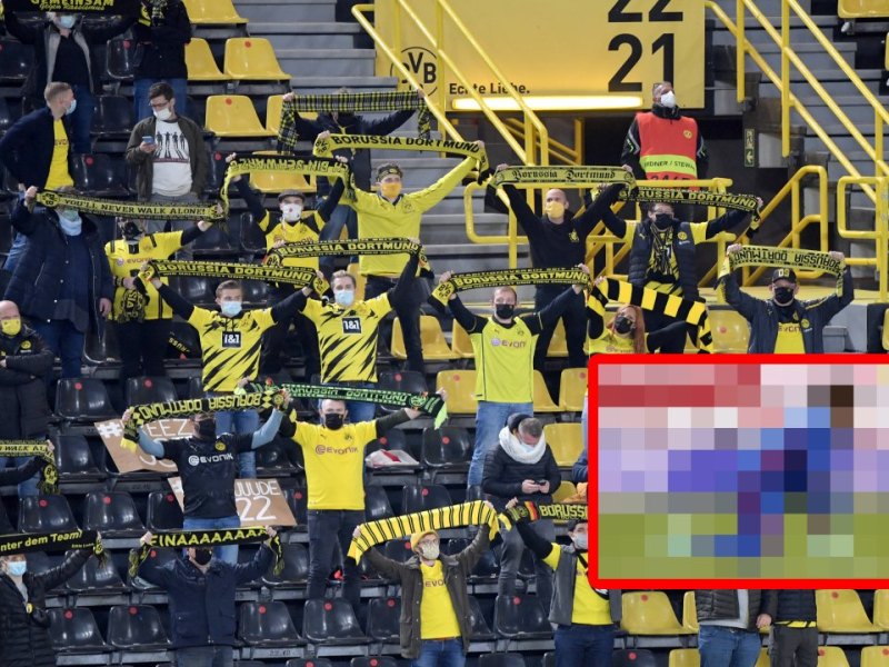 BVB-Fans.jpg
