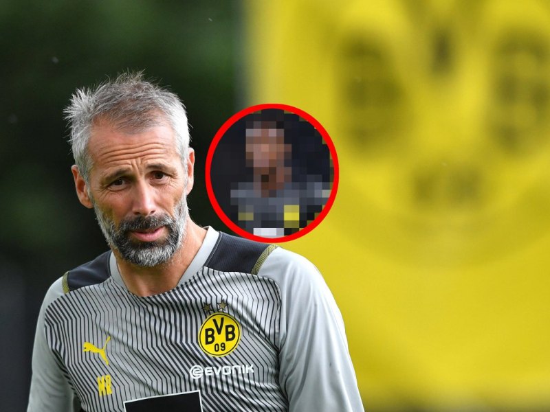 BVB Rose Zaga.jpg