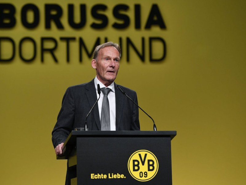 BVB-Watzke.jpg