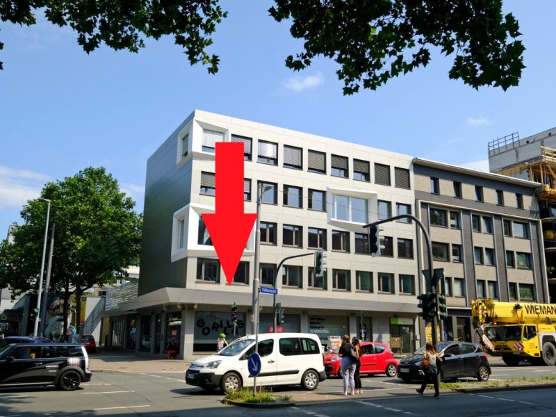 Bochum gorillas .JPG