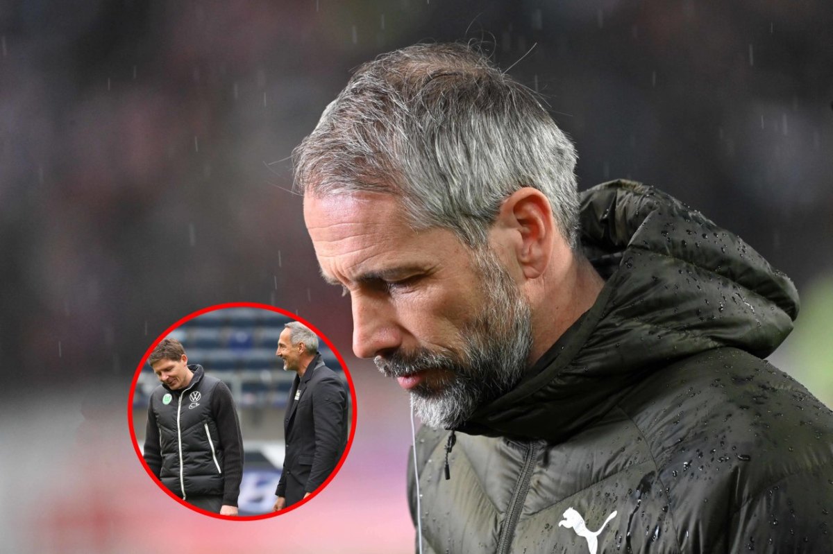 Borussia Dortmund rose glasner.jpg