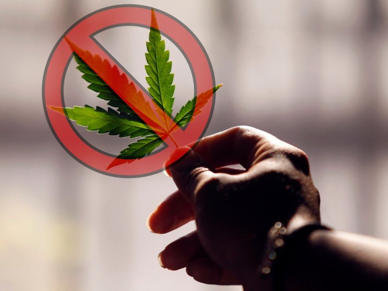 Cannabis: Ampel-Drogenbeauftragter redet an Führerschein-Problem vorbei