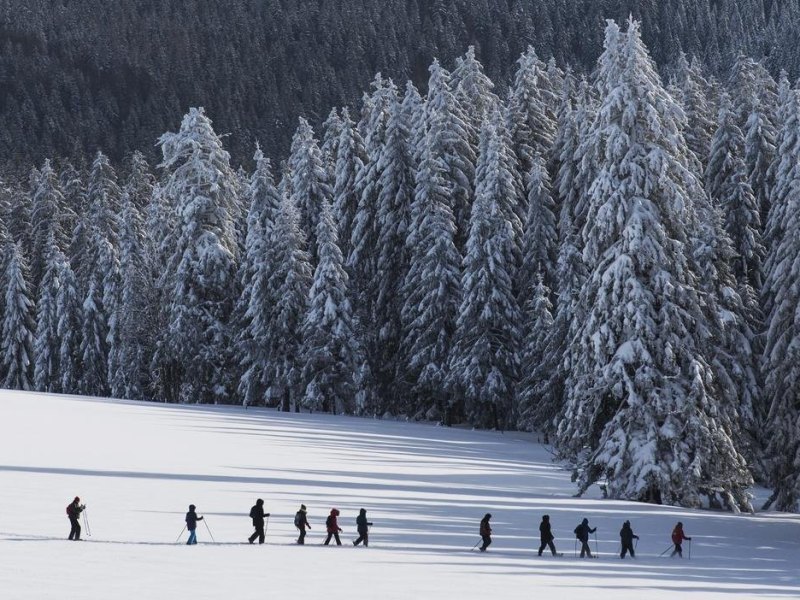 Das ist es, was Schneeschuhwanderer an ihrem Sport schätzen. Foto: Patrick Seeger/dpa/dpa