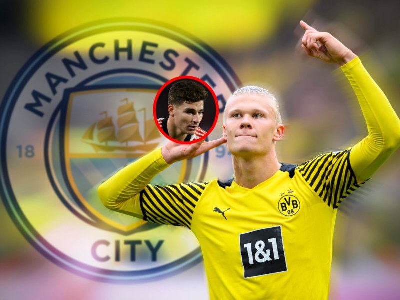 Erling Haaland Alvarez.jpg