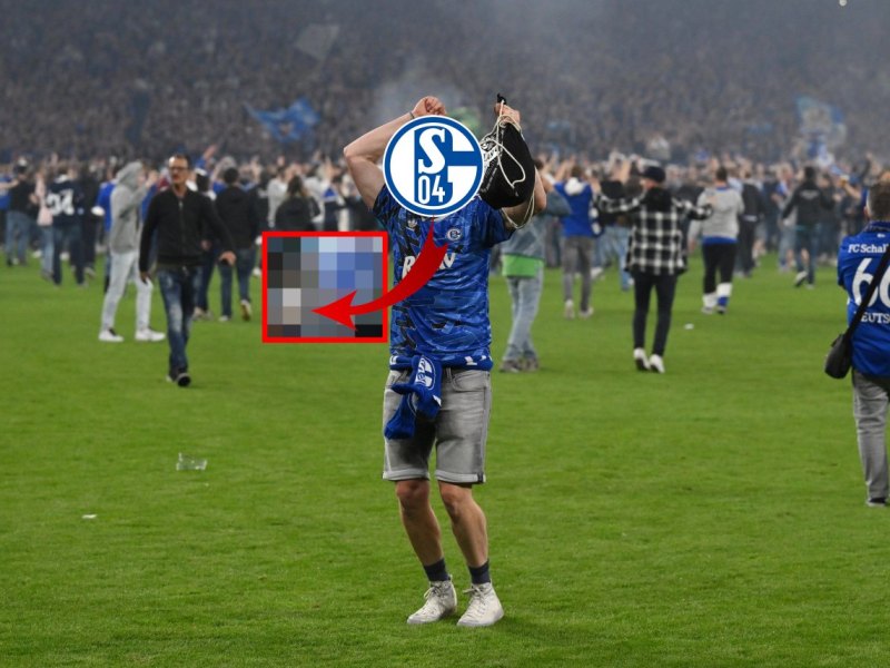 FC-Schalke-04-Fanrad