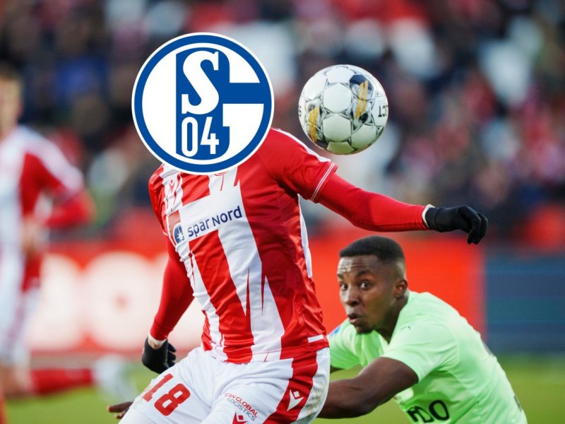 FC Schalke 04 Louka Prip.jpg