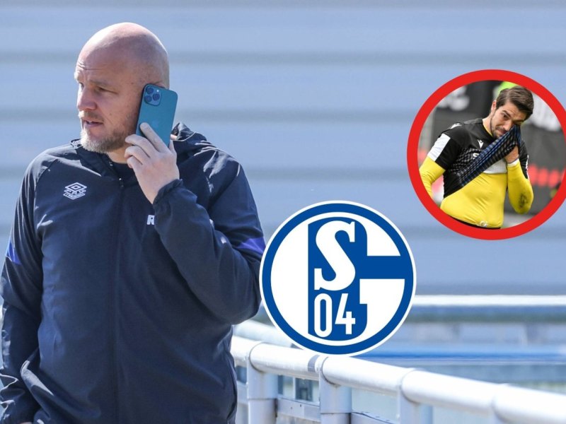 FC Schalke 04 ORTEGA (1).jpg