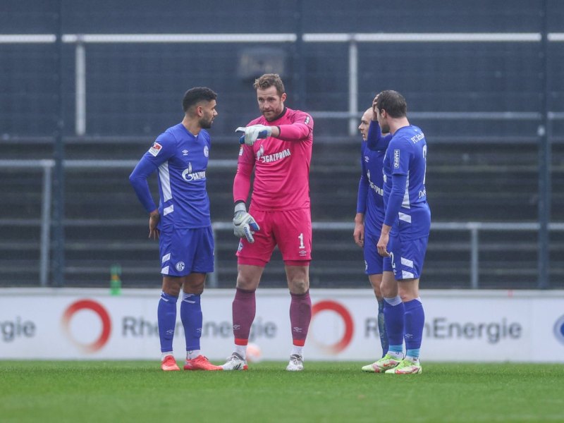 FC-Schalke-04-Palsson