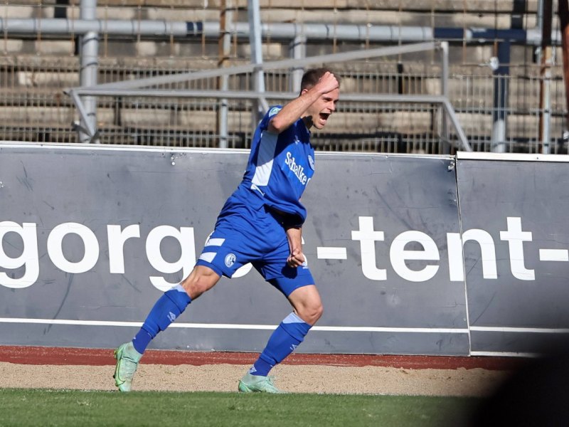 FC Schalke 04 Scienza