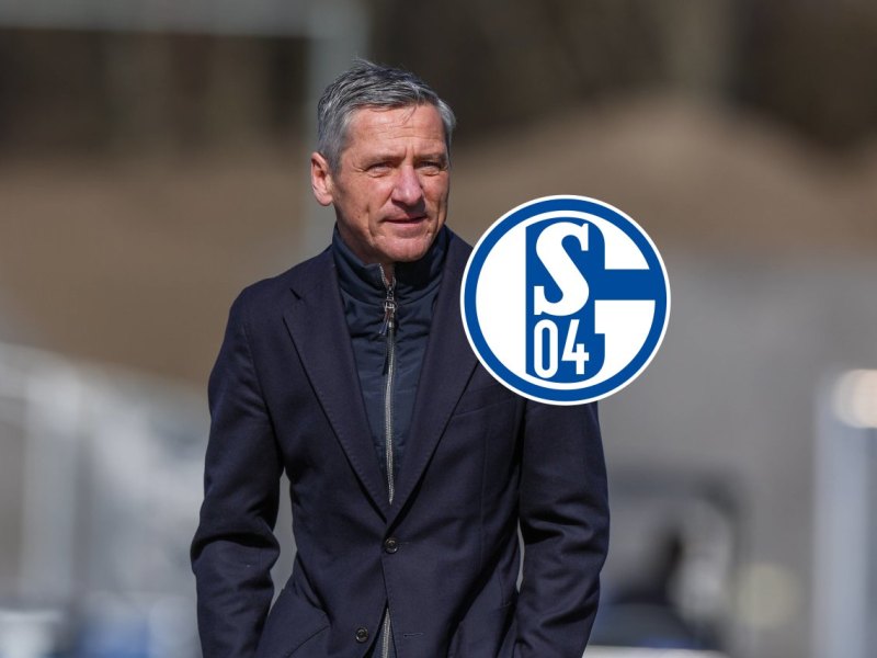 FC Schalke 04 Sponsor.jpg
