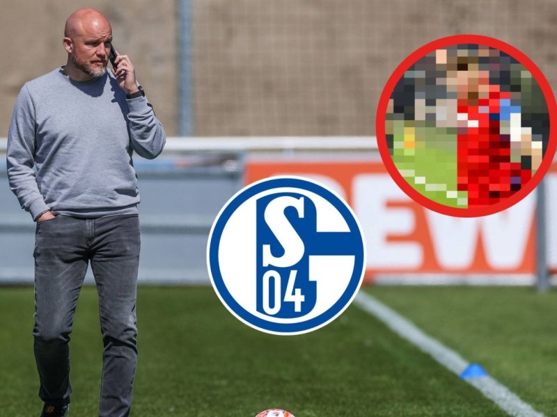 FC Schalke Mohr.jpg