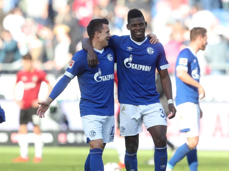 FC schalke 04 konoplyanka