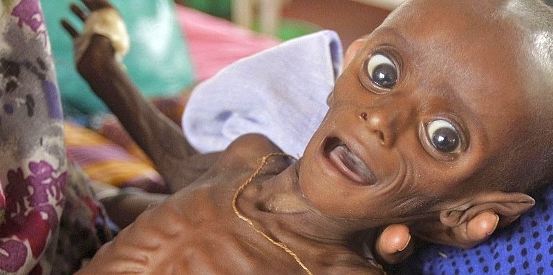 FOR USE AS DESIRED, YEAR--656x240.jpg