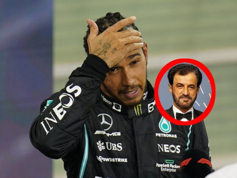 Formel 1 FIA Hamilton.jpg