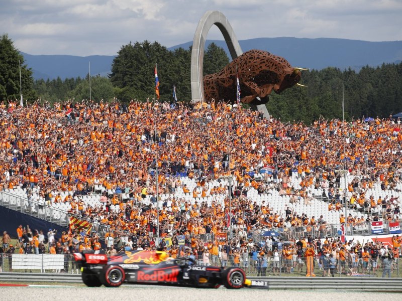 Formel 1 Verstappen Fans