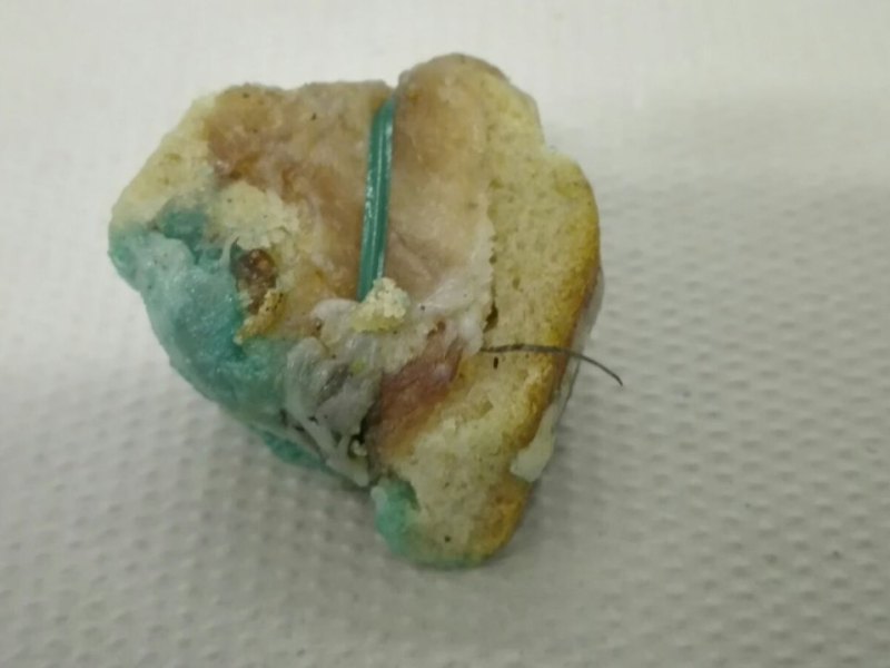 Giftköder Polizeibild.jpg