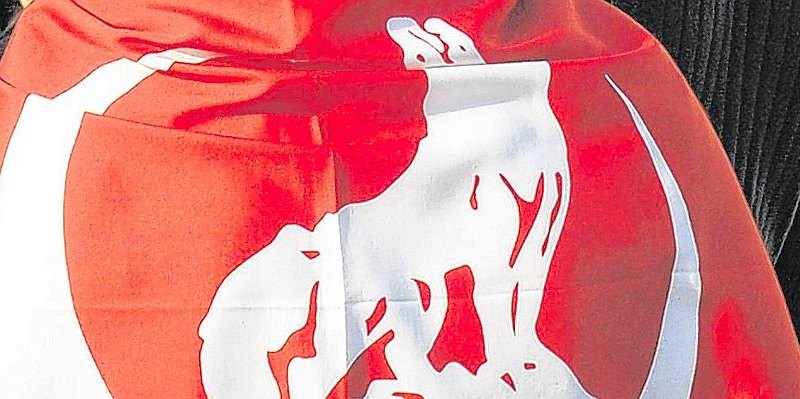 ___Graue Wölfe____--656x240.jpg