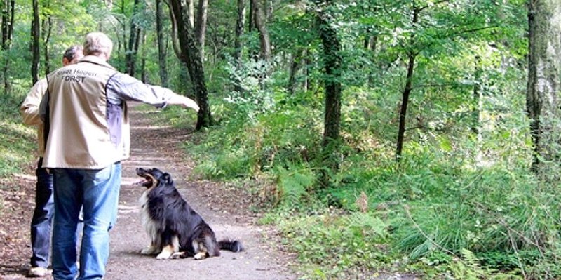 Hilden Ranger Roland Schüren im--656x240.jpg