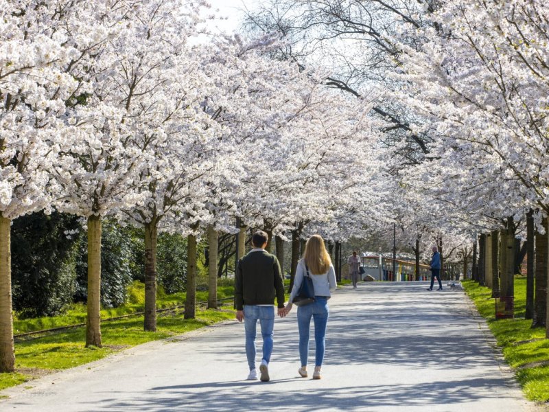 IMAGO / Jochen Tackgrugapark.jpg