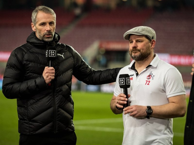 Köln BVB Rose Baumgart