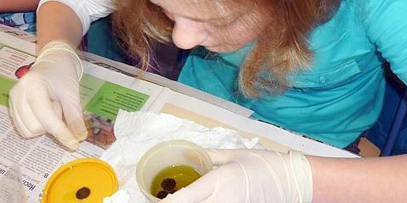 Lateinunterricht innovativ Städtisches Gymnasium Gevelsberg--656x240.jpg