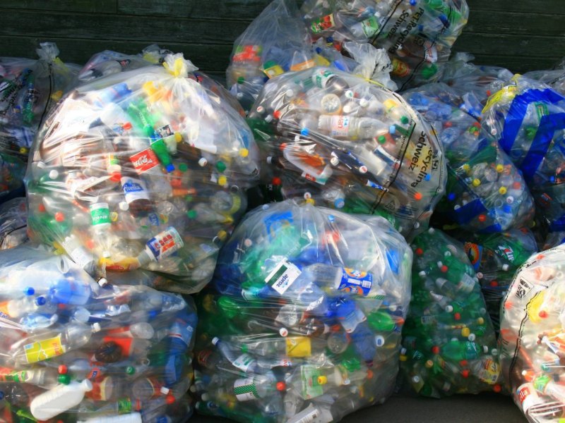 Pfand Rock am ring.jpg