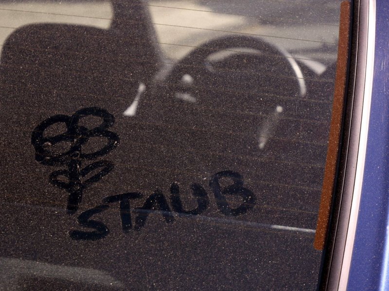 Pollenflug Bütenstaub.jpg