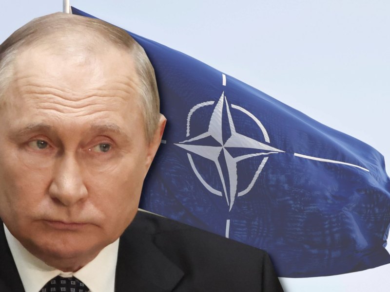 Putin NATO
