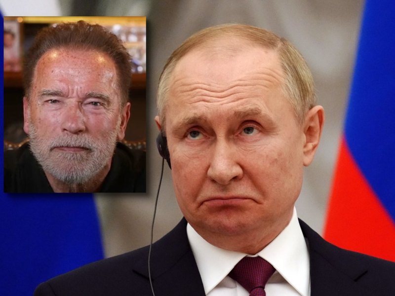 Putin Schwarzenegger