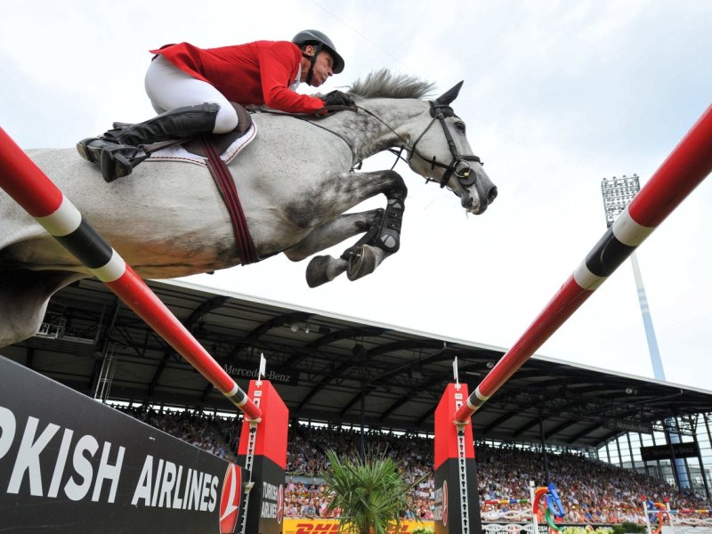 Reit-EM 2015 - Springen.jpg