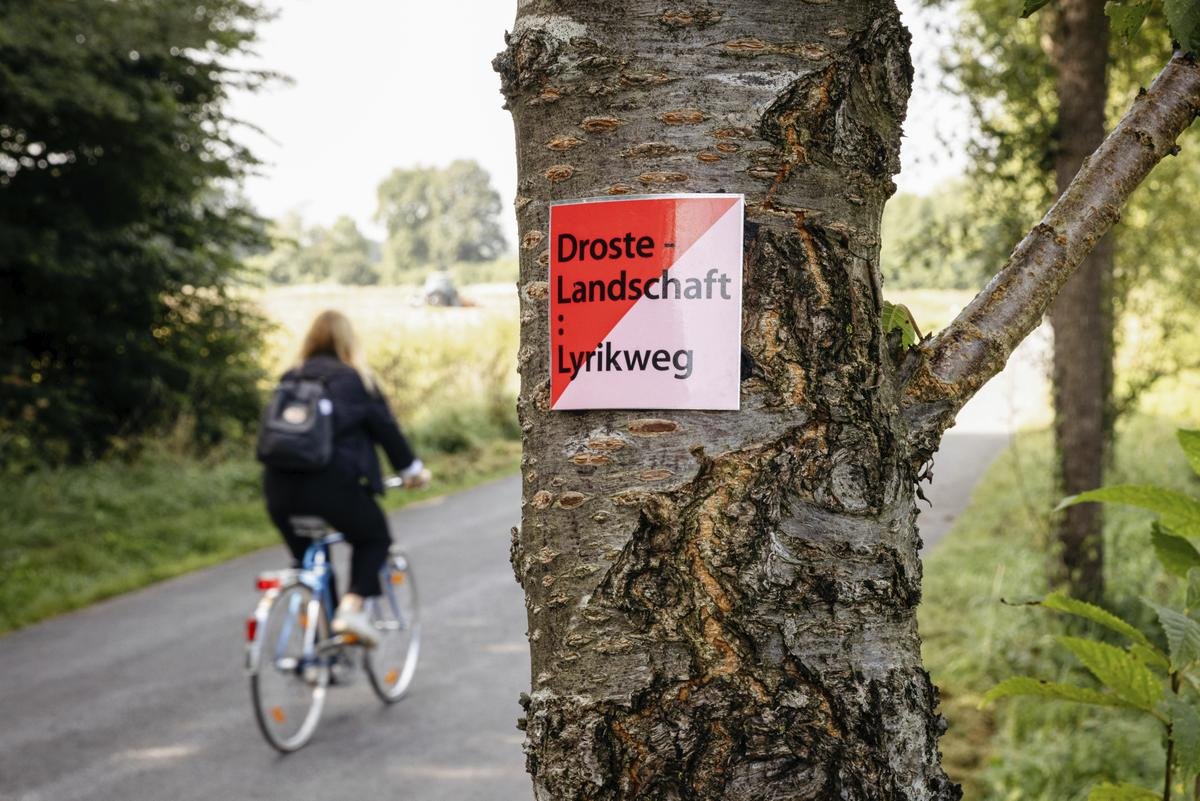 Rot-rosa Zeichen markieren den Lyrikweg.