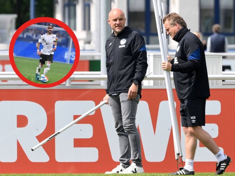 Schalke Paqarada.jpg