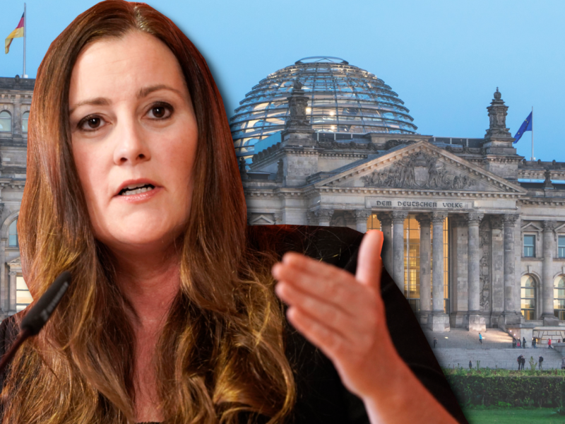 Sexismus Linkspartei Bundestag