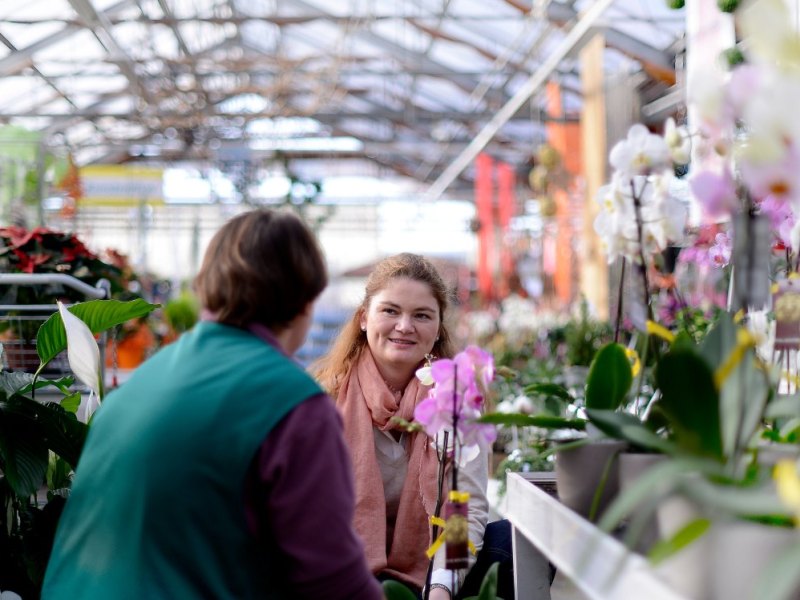 TT_Blumen Risse_62343329.jpg