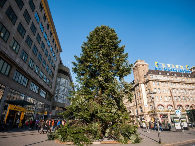 Tanne Essen Weihnachten