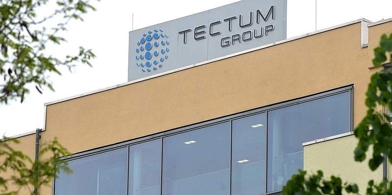 Tectum.jpg
