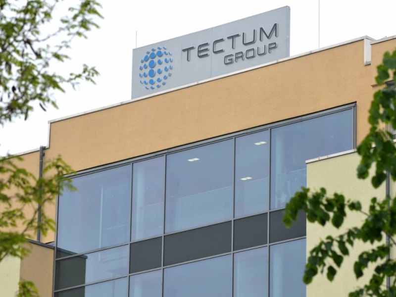 Tectum.jpg